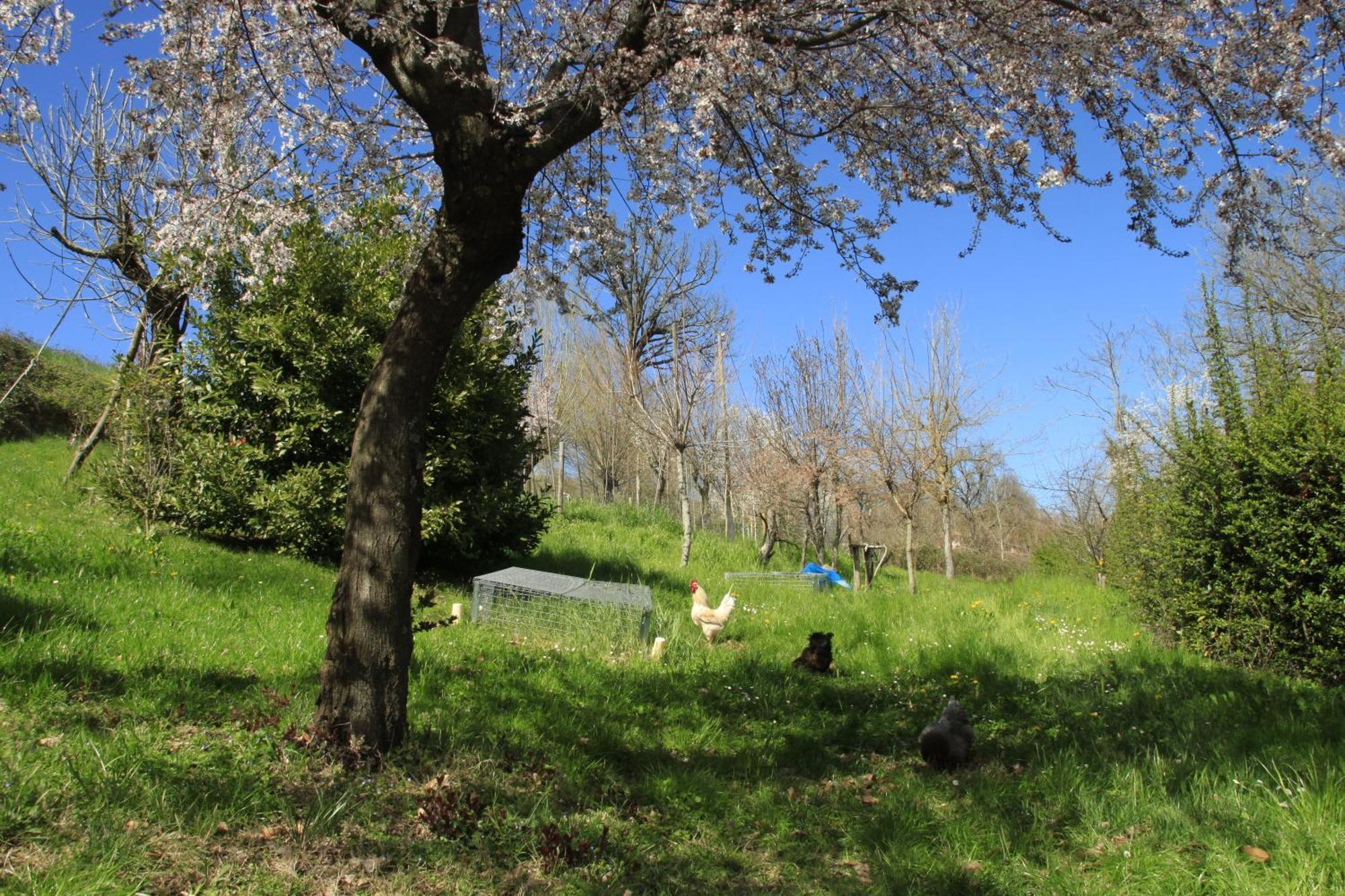 B&B Ride Appennino Montefiorino Екстер'єр фото