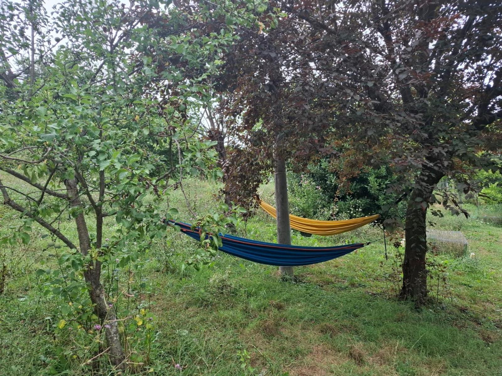 B&B Ride Appennino Montefiorino Екстер'єр фото